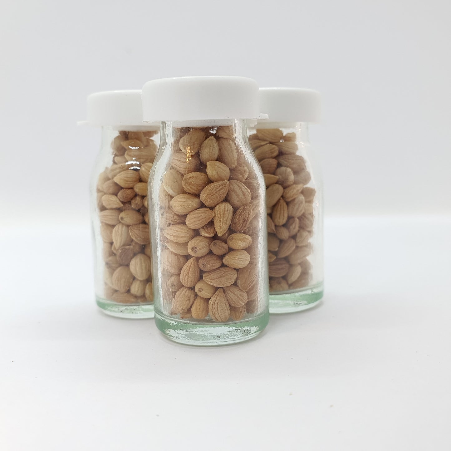 Mahlab Package 10 Gm