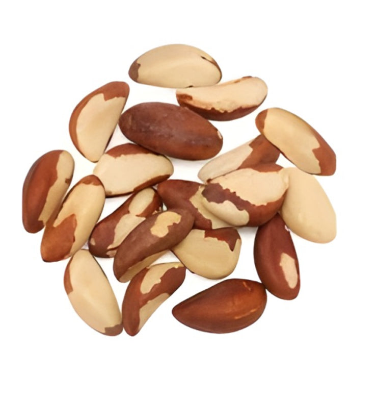 جوز برازيلي