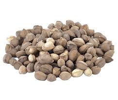 بذور المورينغا